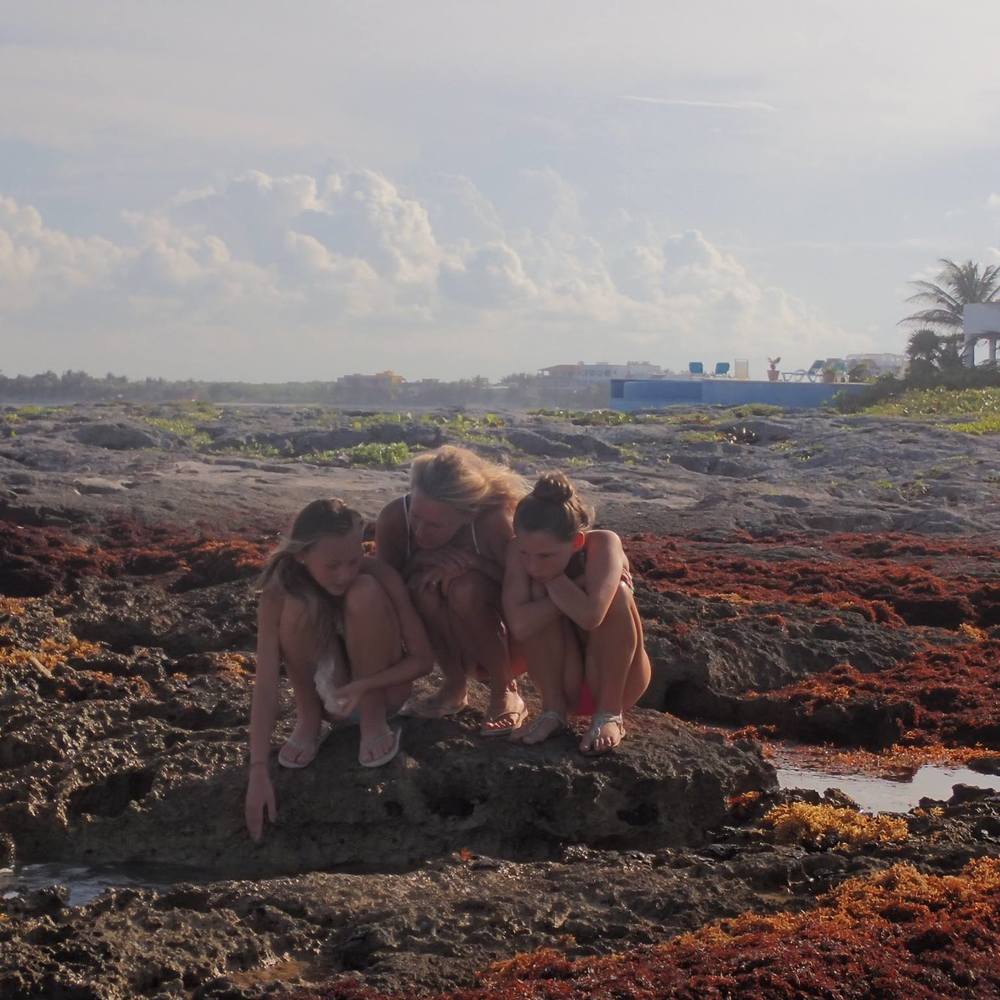 Meet your Posher, Andrea